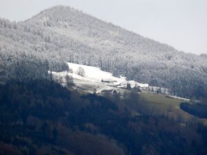 Stabau an der Schneegrenze.jpg