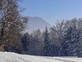 2006 01 16 Maria Plain Winter Bergheim 16.jpg