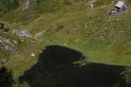 Gralatisee 32872 2016-08-25.jpg
