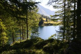 Wirpitschsee, untere-weißpriach 29622 2016-07-10.jpg