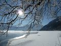 Zeller See 41.jpg