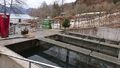 Fischbecken, ostseitig, DSC 0564.JPG