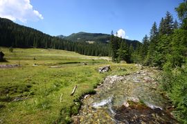 Forstaubachforstautal, hinteres 63692 2013-07-23.jpg