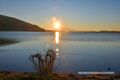 2024 11 30 Seezauber Wallersee Neumarkt Sonnenuntergang 03.jpg