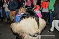 2024 12 05 Neumarkter Krampuslauf 18.jpg
