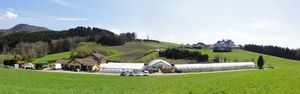 Gärtnerei Kral, Ortschaft Hof bei Henndorf.jpg