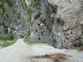 Vorschaubild der Version vom 14:52, 9. Jul. 2011