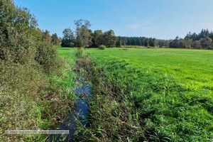 2023 10 01 Tiefsteinbach Paltingmoos Mattsee 02.jpg