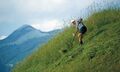 Almen im Nationalpark Hohe Tauern 04.jpg