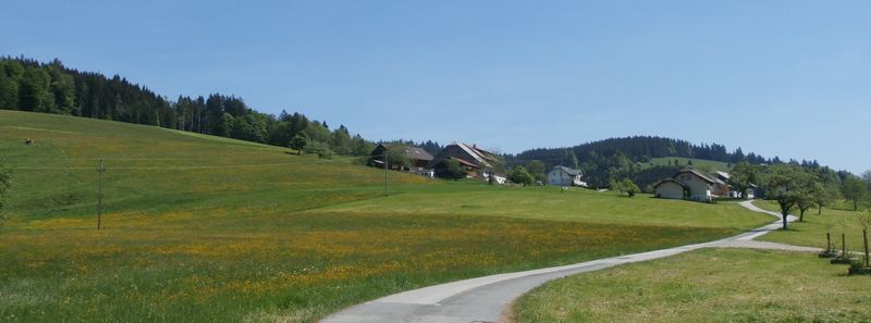 Datei:Buchschachgüter.jpg