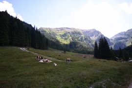 Forstautal, hinteres 63670 2013-07-23.jpg