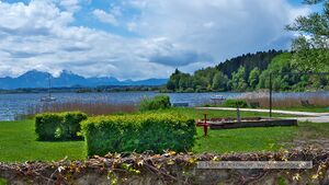Strandbad Winkler Wallersee Neumarkt.jpg