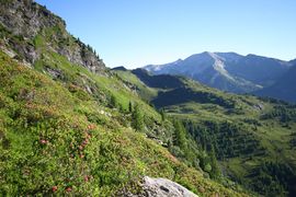 Tiefenbachsee 29995 2016-07-10.jpg