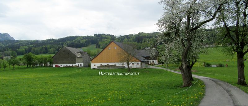 Datei:Hinterschmidinggut.jpg