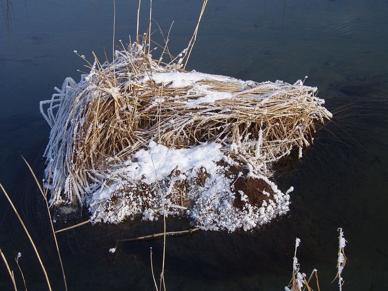 Datei:Insel.jpg