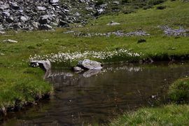 Lindlsee lessachtal 33004 2016-08-25.jpg