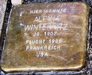 Stolperstein Alexia Winternitz.jpg