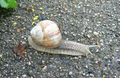 Vorschaubild der Version vom 17:18, 16. Mai 2010