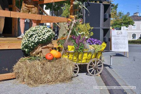 2025 09 20 Ruperti Stadtfest Neumarkt am Wallersee 15.jpg