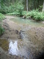 Fischbach 036.jpg