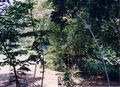 Ziffern im Wald 02.jpg