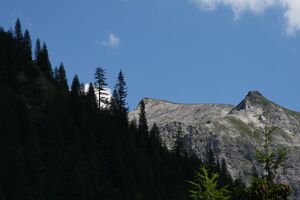 Forstautal, hinteres 63684 2013-07-23.jpg