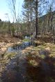 Mandlinger moor 69748 2018-04-18.jpg