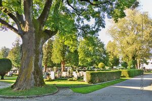Salzburg Maxglan Stadtfriedhof 1.jpg
