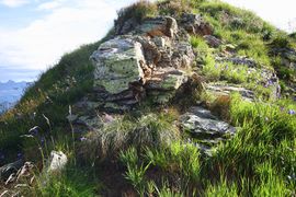 Seekarschneid obertauern 31246 2016-08-04.jpg