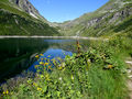 Unterer Bockhartsee01.jpg