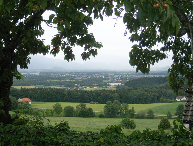 Datei:Von kirschen eingerahmt 070.jpg