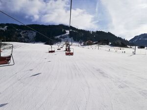 Hahnbaumlift 06.jpg