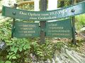 Kitzlochklamm 121.jpg