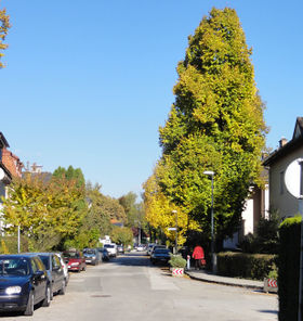 Moserstraße.jpg