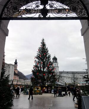 Ausblick.JPG