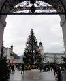 Ausblick.JPG