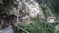 Gasteiner Höhenweg 20210709 6.jpg
