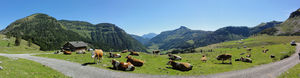 Genneralmpanorama Sommer 2012.JPG