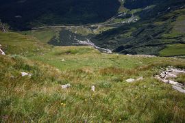 Hocharn 19.08.2008 0231.jpg