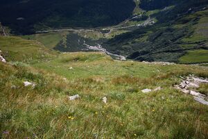 Hocharn 19.08.2008 0231.jpg