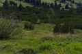 Hundsfeldmoor obertauern 31132 2016-08-04.jpg