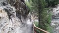Gasteiner Höhenweg 20210709 10.jpg