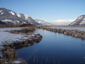 Naturschutzgebiet Zeller See, Zeller Moos.jpg
