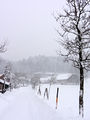 Pfarrhofallee zu Silvester 2014.jpg