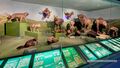 2025 02 02 Haus der Natur 12.jpg