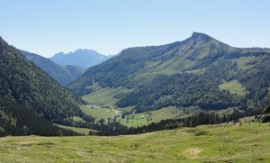DSC06608.JPG