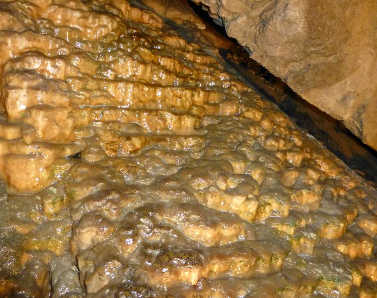 Datei:Lamprechtshöhle 5.jpg