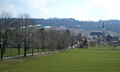 N. Gaertnerallee in Frühling.jpg