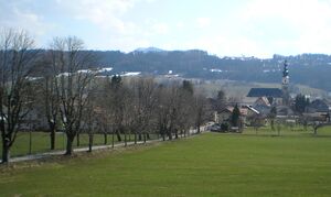 N. Gaertnerallee in Frühling.jpg