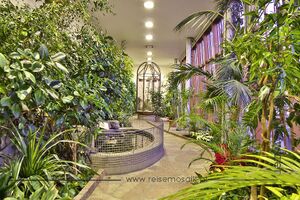 Palmenhaus der Orangerie des Schlosses Mirabell 01.jpg